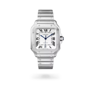 Cartier Santos - Silver